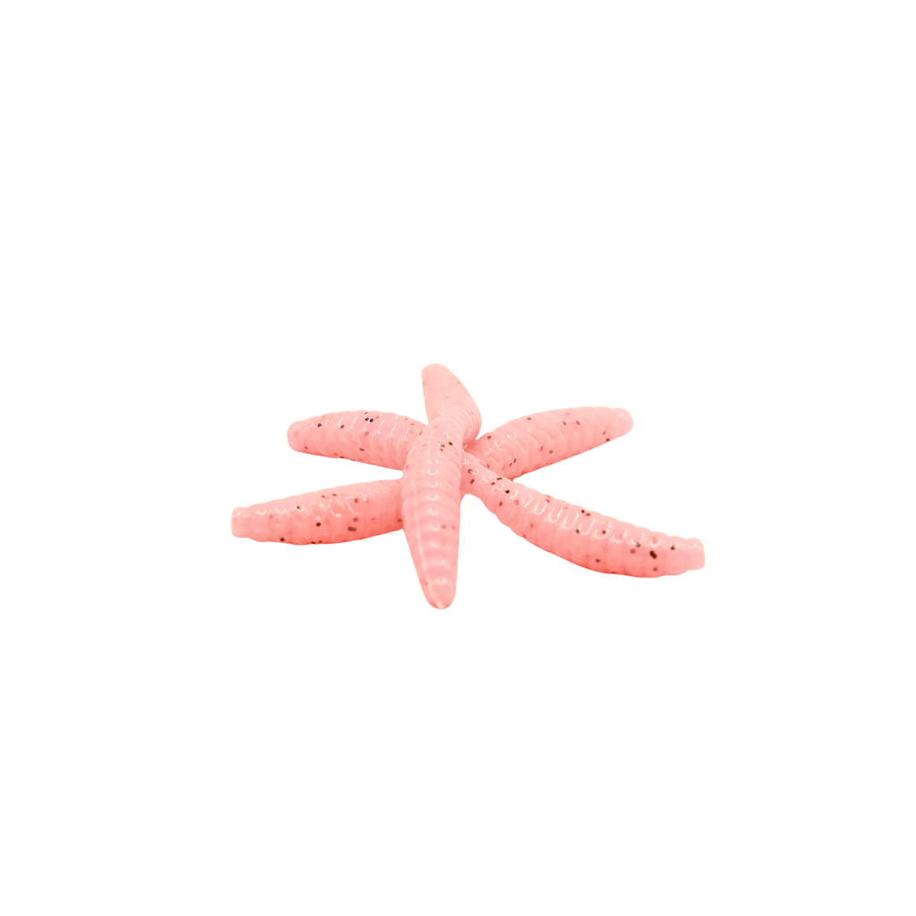 1" Wax Worm