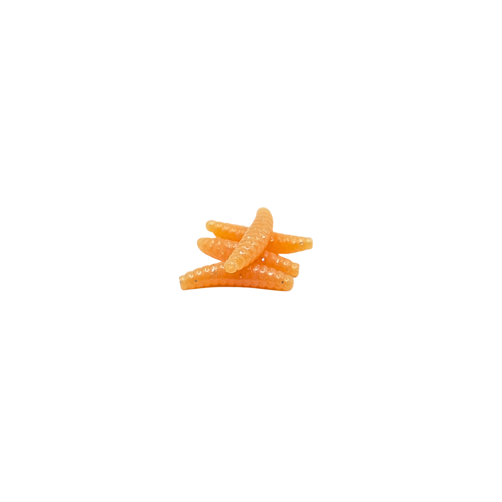 1" Wax Worm