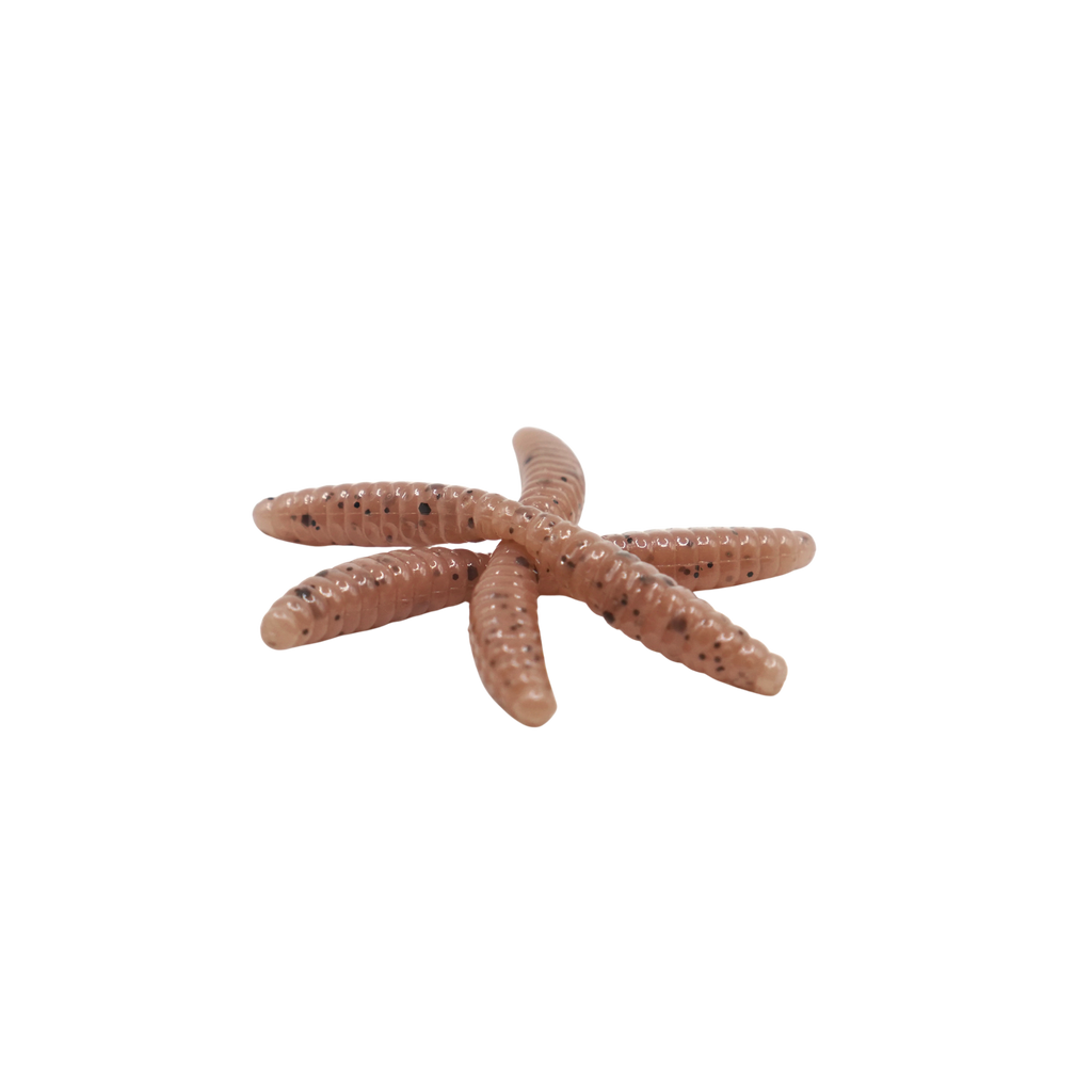 1" Wax Worm
