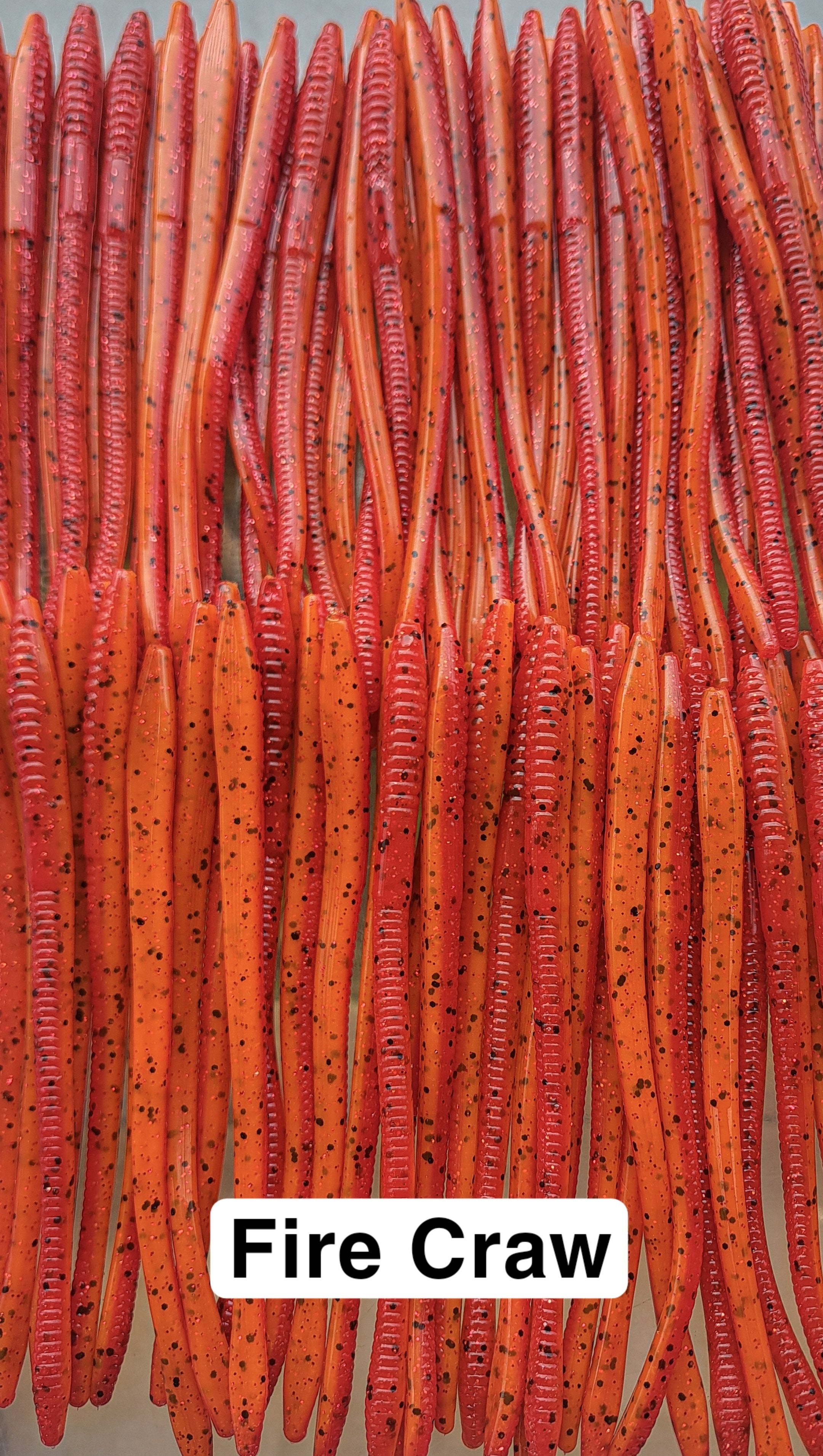 6" Worm