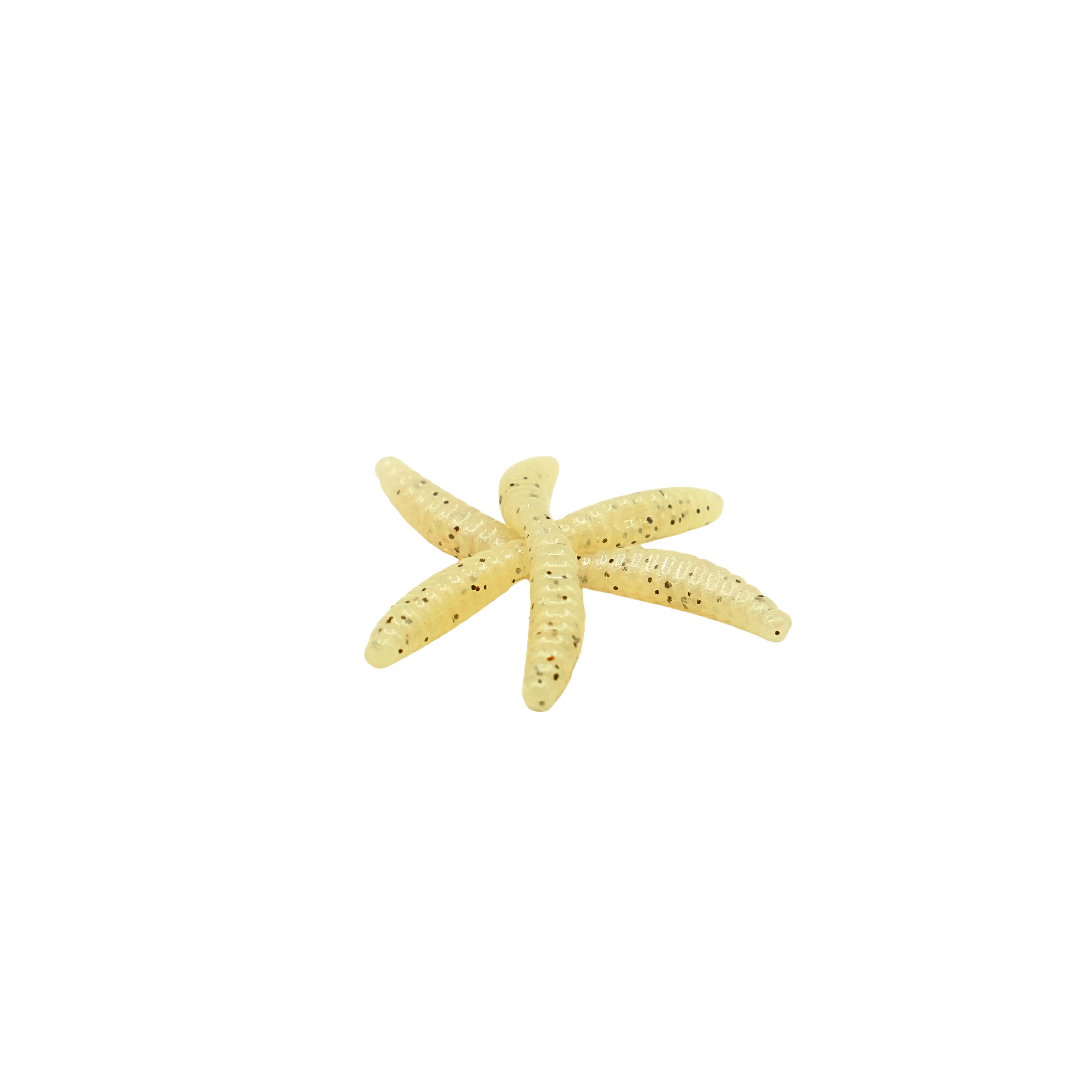 1" Wax Worm