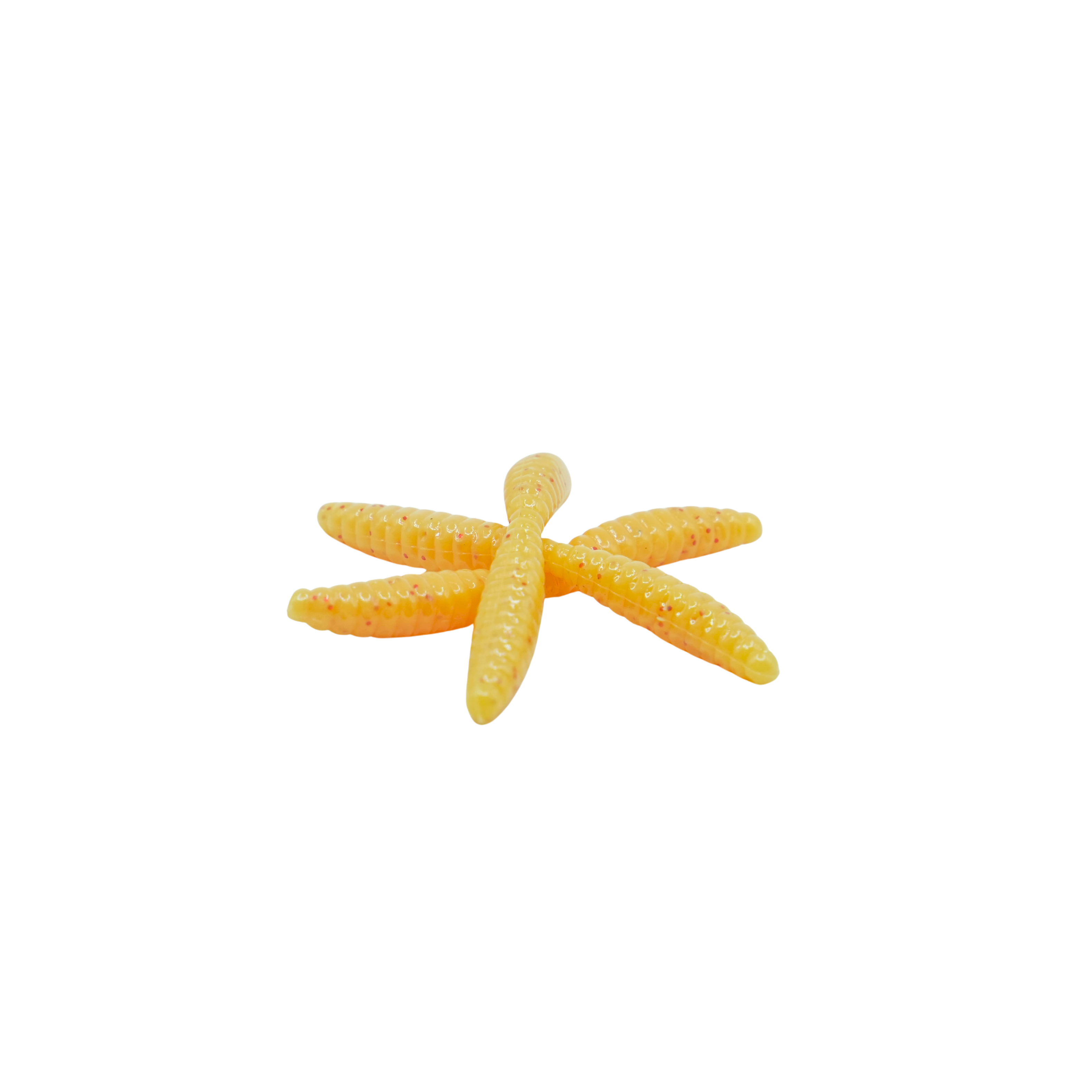 1" Wax Worm