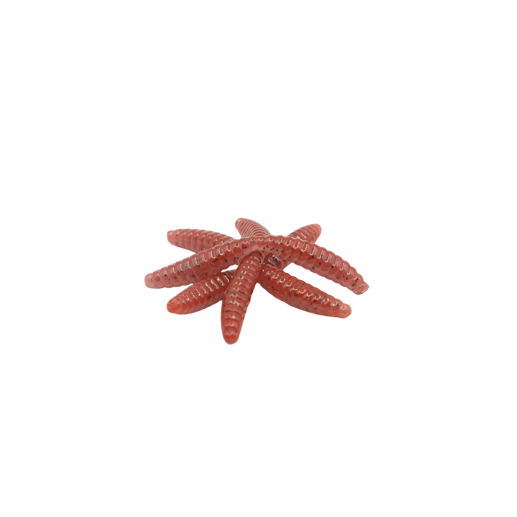 1" Wax Worm