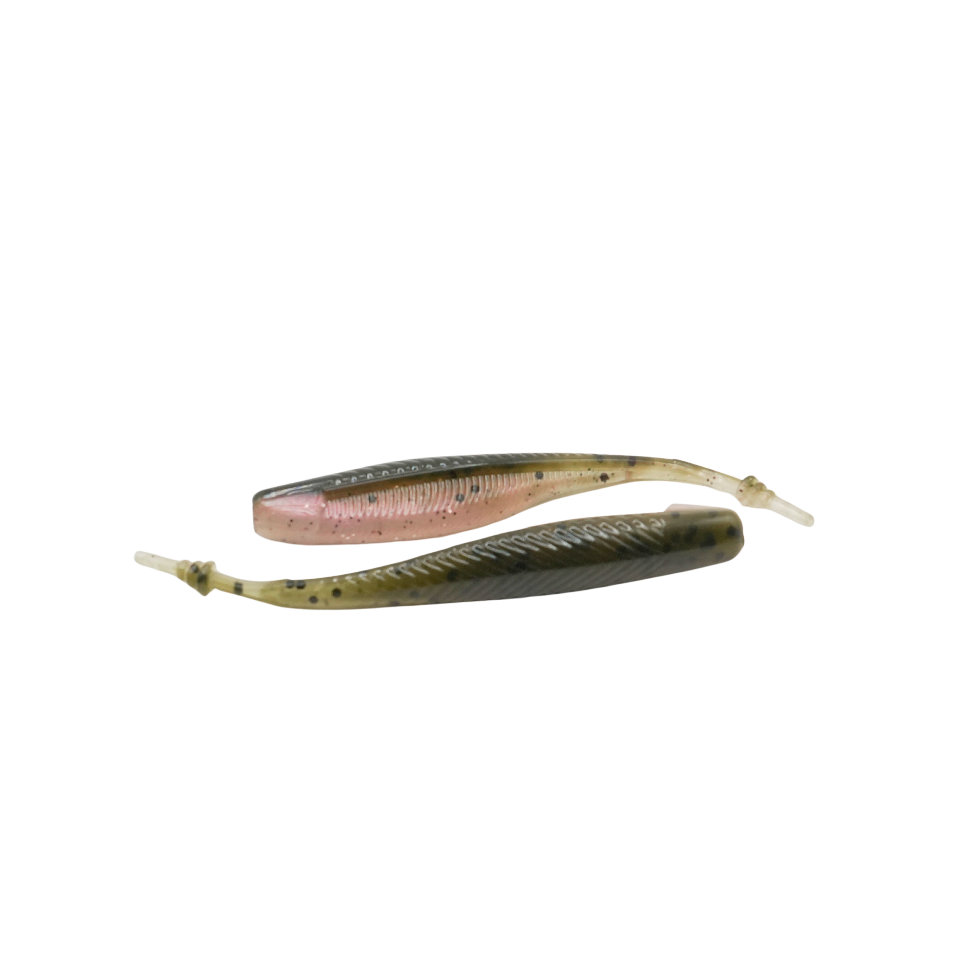 4" Pintail Shad