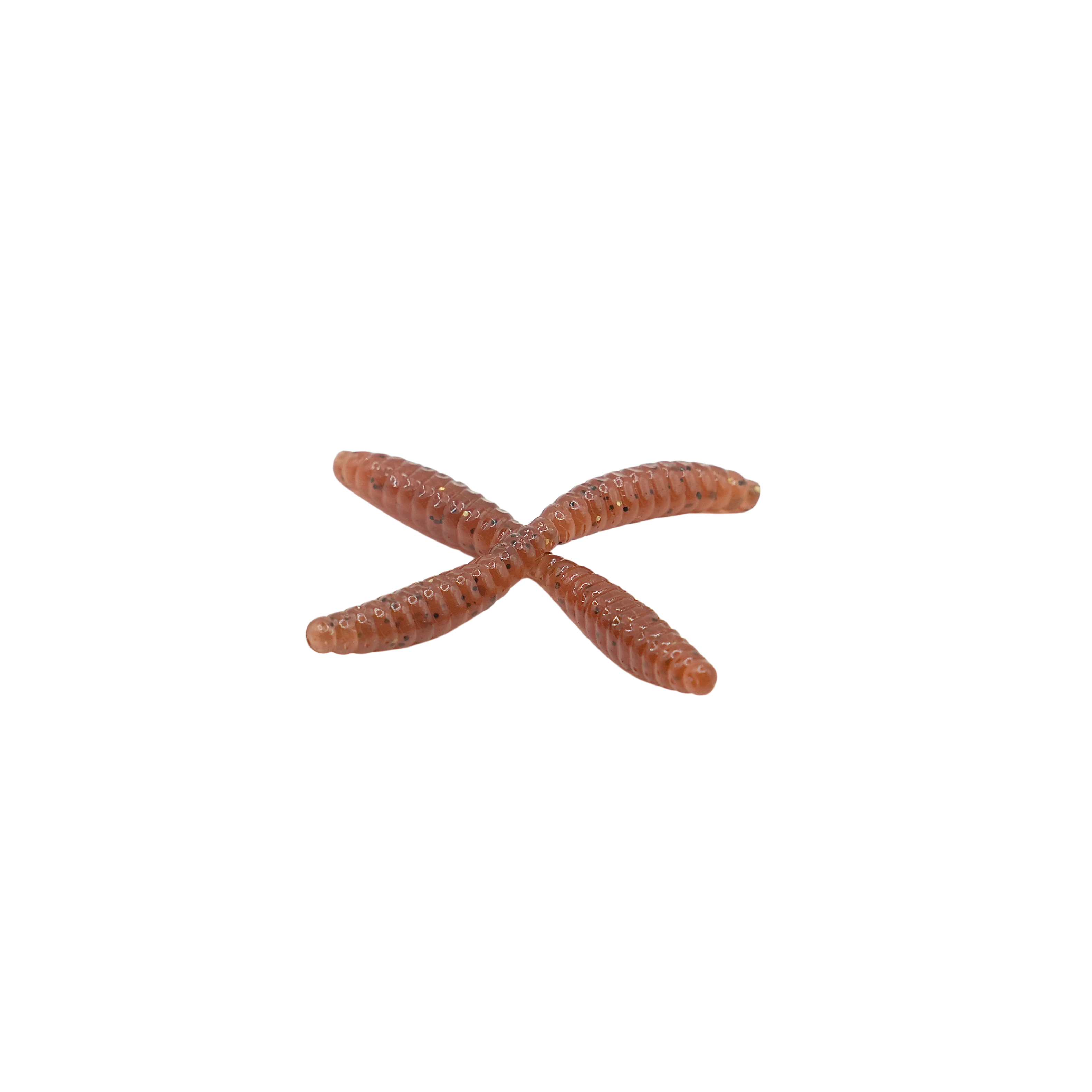1" Wax Worm